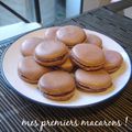 Tournicotons...macarons !