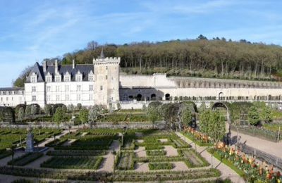 Les jardins du château de Villandry