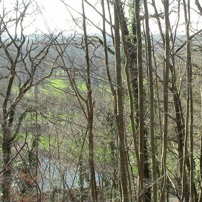 De Thomery à Fontaine le Port