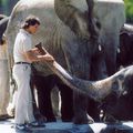 Zoo de Frederick Wiseman - 1992