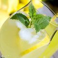 Cocktail : Limoncello ou liqueur de citron