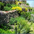 Rencontre dans les Jardins 