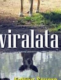 "Viralata" de Fabian Severo, par Antonio Borrell