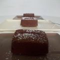 Gâteaux moelleux au chocolat