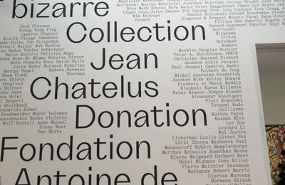 En revenant de l'Expo # Enormément Bizarre# Vu d'ici vu d'ailleurs 