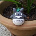 O-Totoro