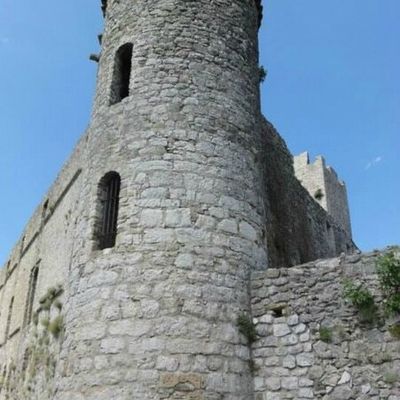 Bonjour ! Ce blog n'est plus actif, si vous