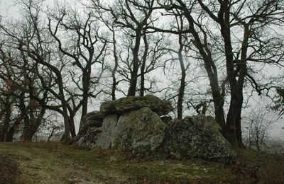 Dolmen Peyrelevade Rampieux Beaumont du Périgord 24440