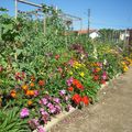 Bilan de la saison de jardinage 2012