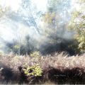 Une brume ou une fumée ... à vous de juger !