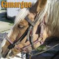 La Camargue