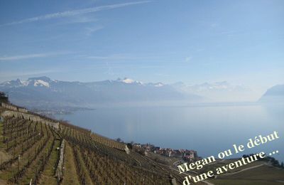 Lavaux