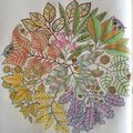 Coloriage 6 - Jardin Secret - Mandala fleurs hibou