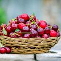 Le temps des cerises