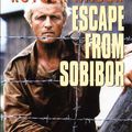 Download Escape from Sobibor Movie