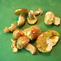 champignons