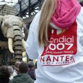 Nantes : l'éléphant, qui est de toutes les occasions, accueillait la coupe du monde de hand-ball