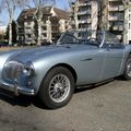 Austin Healey 100 M-1954