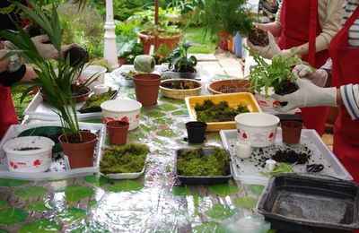 Atelier fabrication de KOKEDAMA