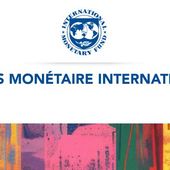 " La note officielle du FMI sur la France ! ". L'édito de Charles SANNAT - Insolentiae