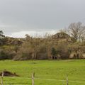 Randonnée du mardi 18 février après-midi - Droiturier .