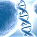 la Terre et les êtres humains élèvent leur vibration  les enfants naissent avec un brin d'ADN en plus