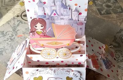 Bienvenue petite princesse !