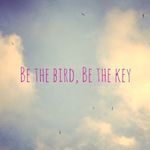 Be the bird, Be the key
