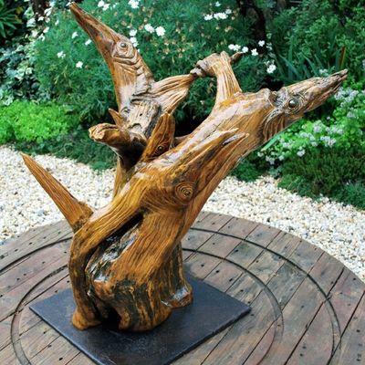 Grandes Momifications de Racines et souches