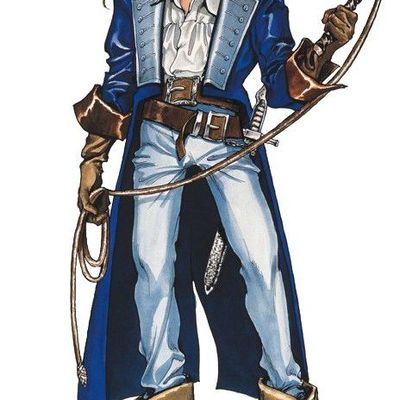 Jeu vidéo : Castlevania.