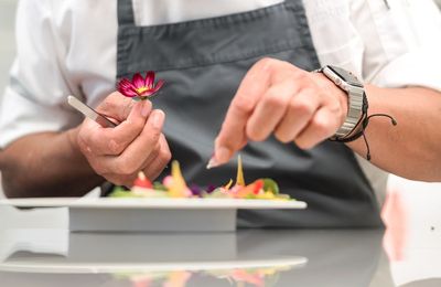 L'Europe de la gastronomie végétale en 20 Chef(fe)s et 100 recettes 