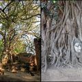 Mon voyage en Asie : 2 jours à Ayutthaya (Thaïlande)