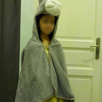 Déguisement de peau d'âne