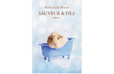 Sauveur & fils (saison 1) de Marie-Aude Murail