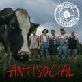 STEVE 'n' SEAGULLS reprend "Antisocial"... en Français... et au Banjo... - En France pour leur 'Cocoricotour' en Novembre ! :)