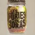 Les Furies de Boras d'Anders Fager