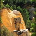 Danbo dans le Colorado provençal