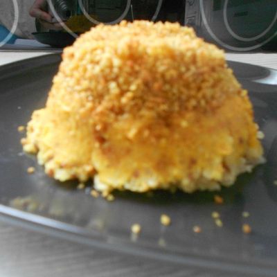 Parmentier de Lentilles Corail