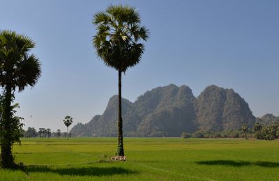 Montagnes karstiques, rivières et lacs sacrés autour de Hpa An