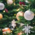Le Sal de Noël 2024 de Luna