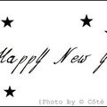 Happy 2013 !