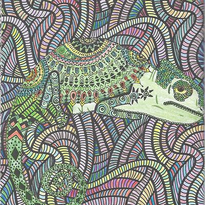 Coloriage: le cameleon