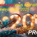 Au revoir 2024...