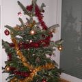 Sapin de noël