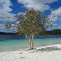 Fraser Island, la plus grande île de sable du monde !