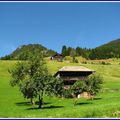 Le val d'Abondance