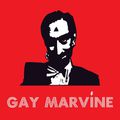 Gay Marvine – Greatest Mixes Fixes