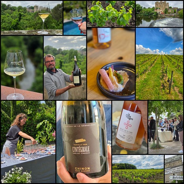 Les Vins de Val de Loire