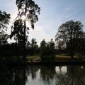 Jardins de Versailles - Majestieux