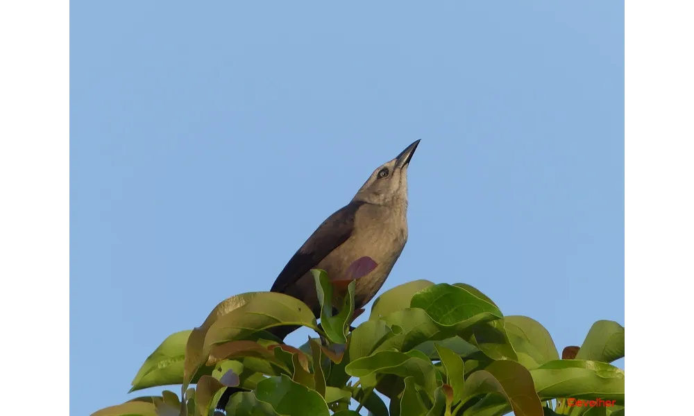 Nos amis du jardin